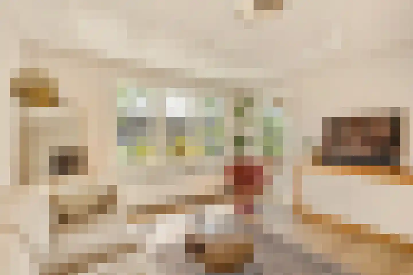 Jozef Israëlskade 402 Amsterdam thumbnail 7