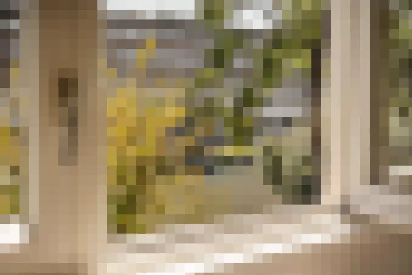 Jozef Israëlskade 402 Amsterdam thumbnail 9