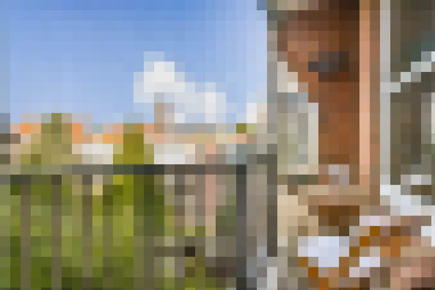 Jozef Israëlskade 42 D Amsterdam thumbnail 13