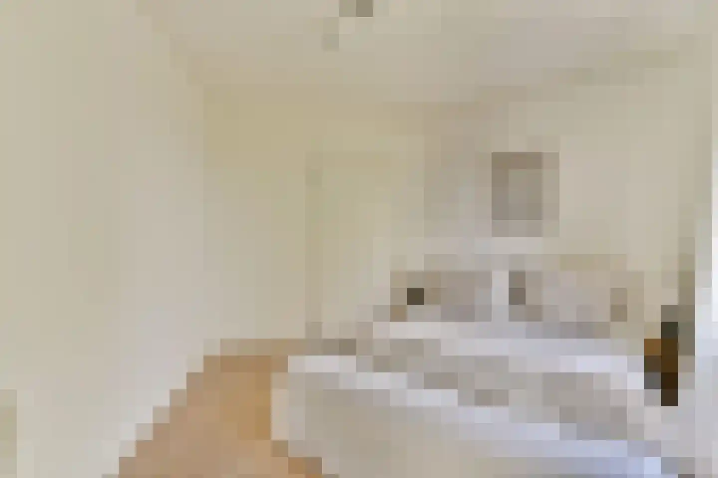 Jozef Israëlskade 42 D Amsterdam thumbnail 16