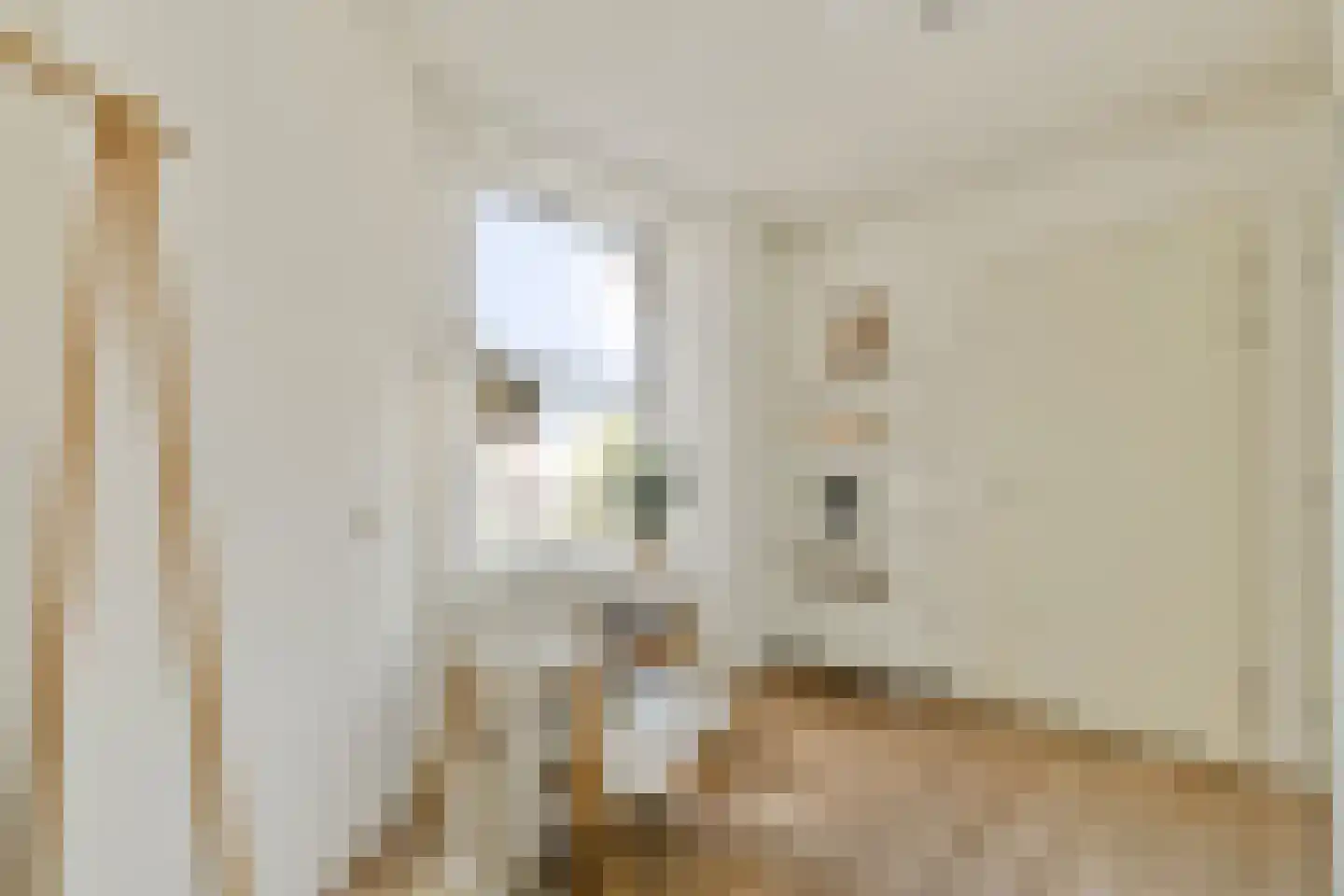 Jozef Israëlskade 42 D Amsterdam thumbnail 18