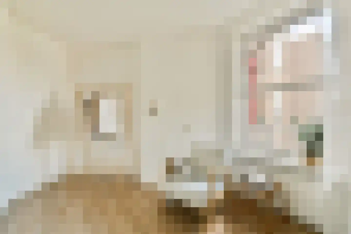 Jozef Israëlskade 42 D Amsterdam thumbnail 19