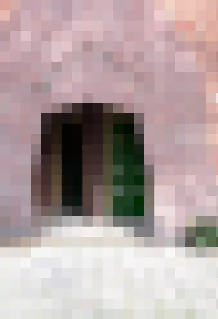 Jozef Israëlskade 50 3 Amsterdam thumbnail 18