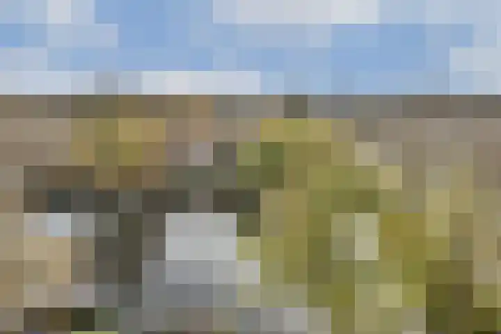Jozef Israëlskade 50 3 Amsterdam thumbnail 6