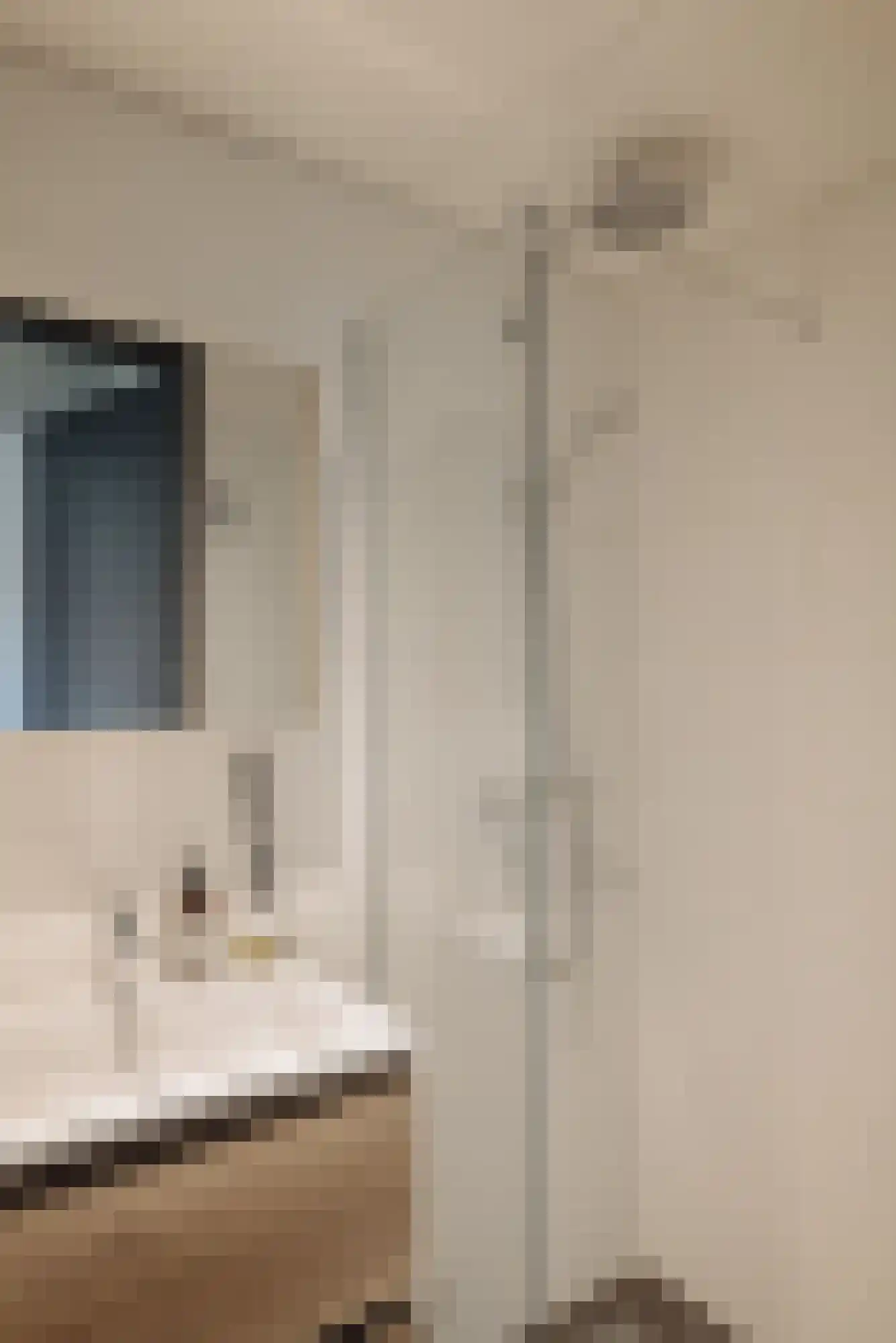Jozef Israëlskade 52 4 Amsterdam thumbnail 21