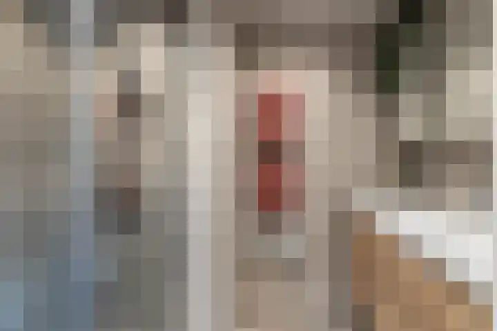 Jozef Israëlskade 53 2 Amsterdam thumbnail 17
