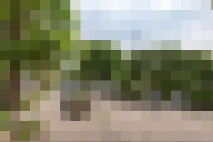 Jozef Israëlskade 53 2 Amsterdam thumbnail 32