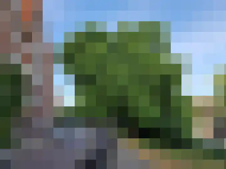 Jozef Israëlskade 53 2 Amsterdam thumbnail 33
