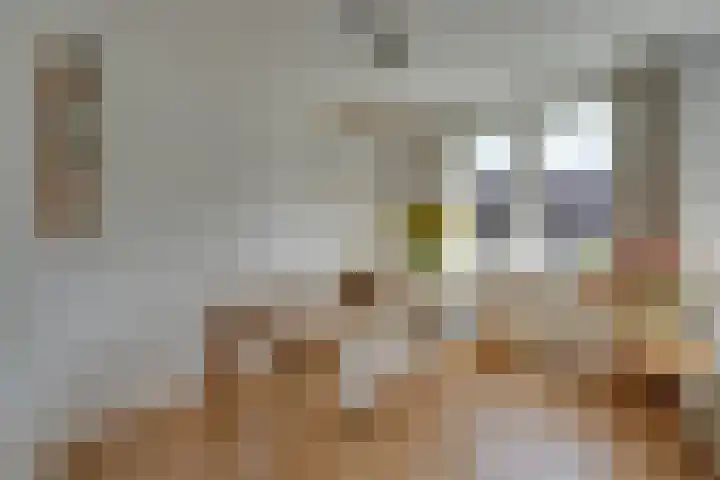 Jozef Israëlskade 76 1 Amsterdam thumbnail 13