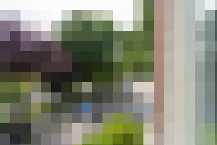 Jozef Israëlskade 76 1 Amsterdam thumbnail 17