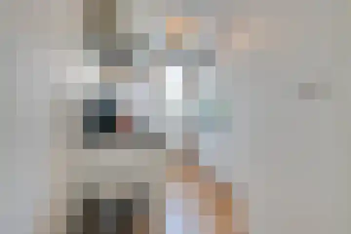 Jozef Israëlskade 76 1 Amsterdam thumbnail 18