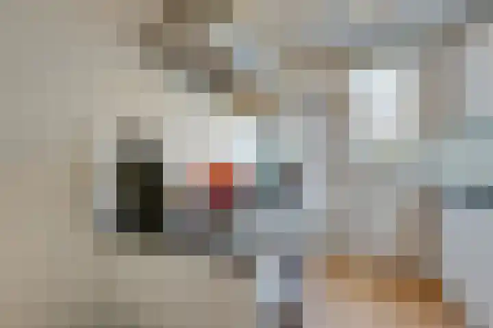 Jozef Israëlskade 76 1 Amsterdam thumbnail 19