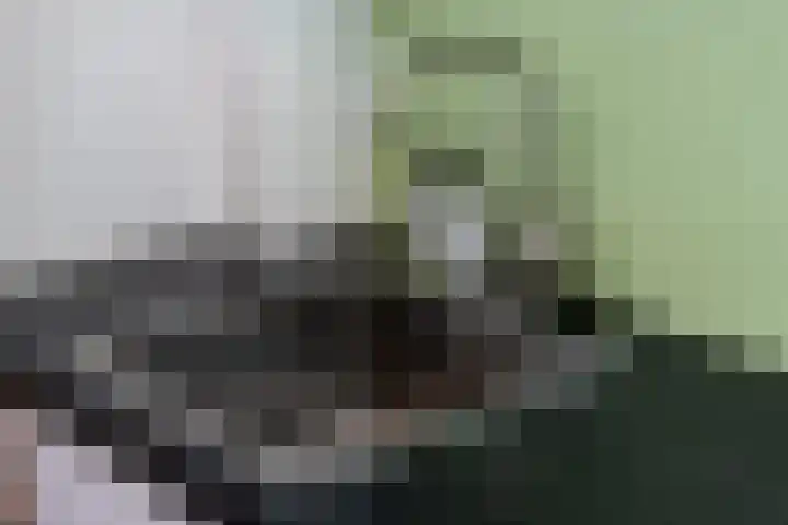 Jozef Israëlskade 76 1 Amsterdam thumbnail 20