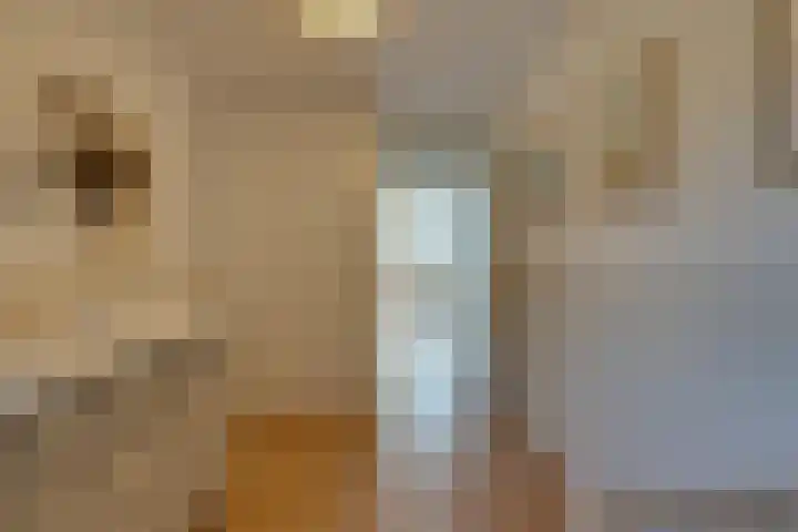 Jozef Israëlskade 76 1 Amsterdam thumbnail 28