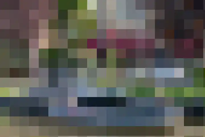 Jozef Israëlskade 76 1 Amsterdam thumbnail 36