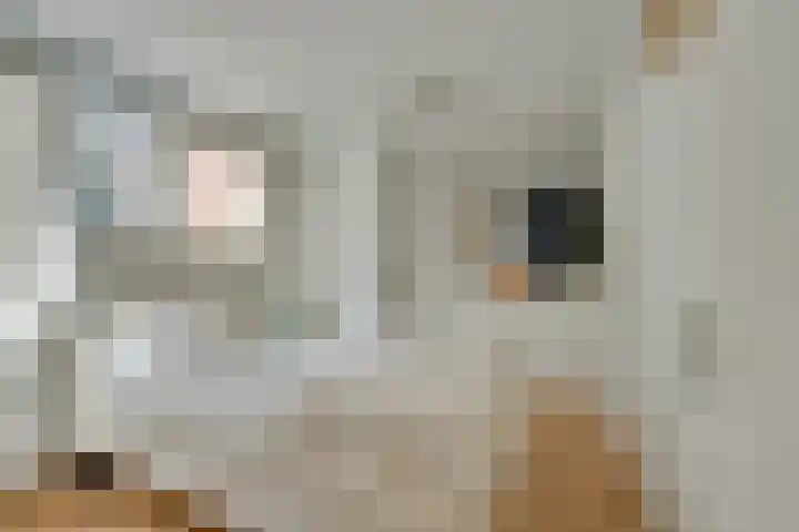 Jozef Israëlskade 76 1 Amsterdam thumbnail 4