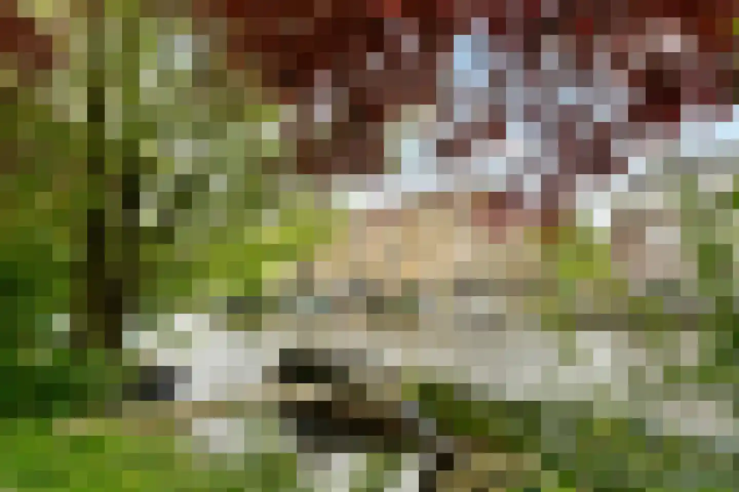 Jozef Israëlskade 77 H Amsterdam thumbnail 4