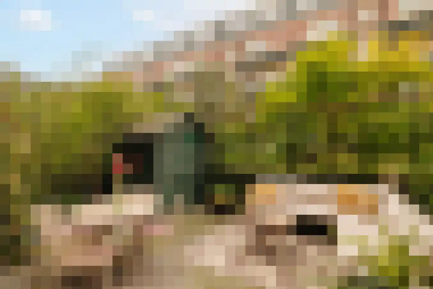 Jozef Israëlskade 84 H Amsterdam thumbnail 14