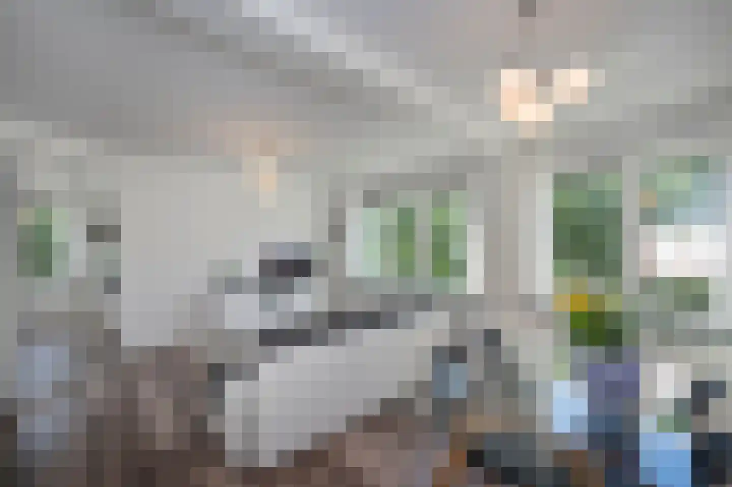 Jozef Israëlskade 88 1 Amsterdam thumbnail 6