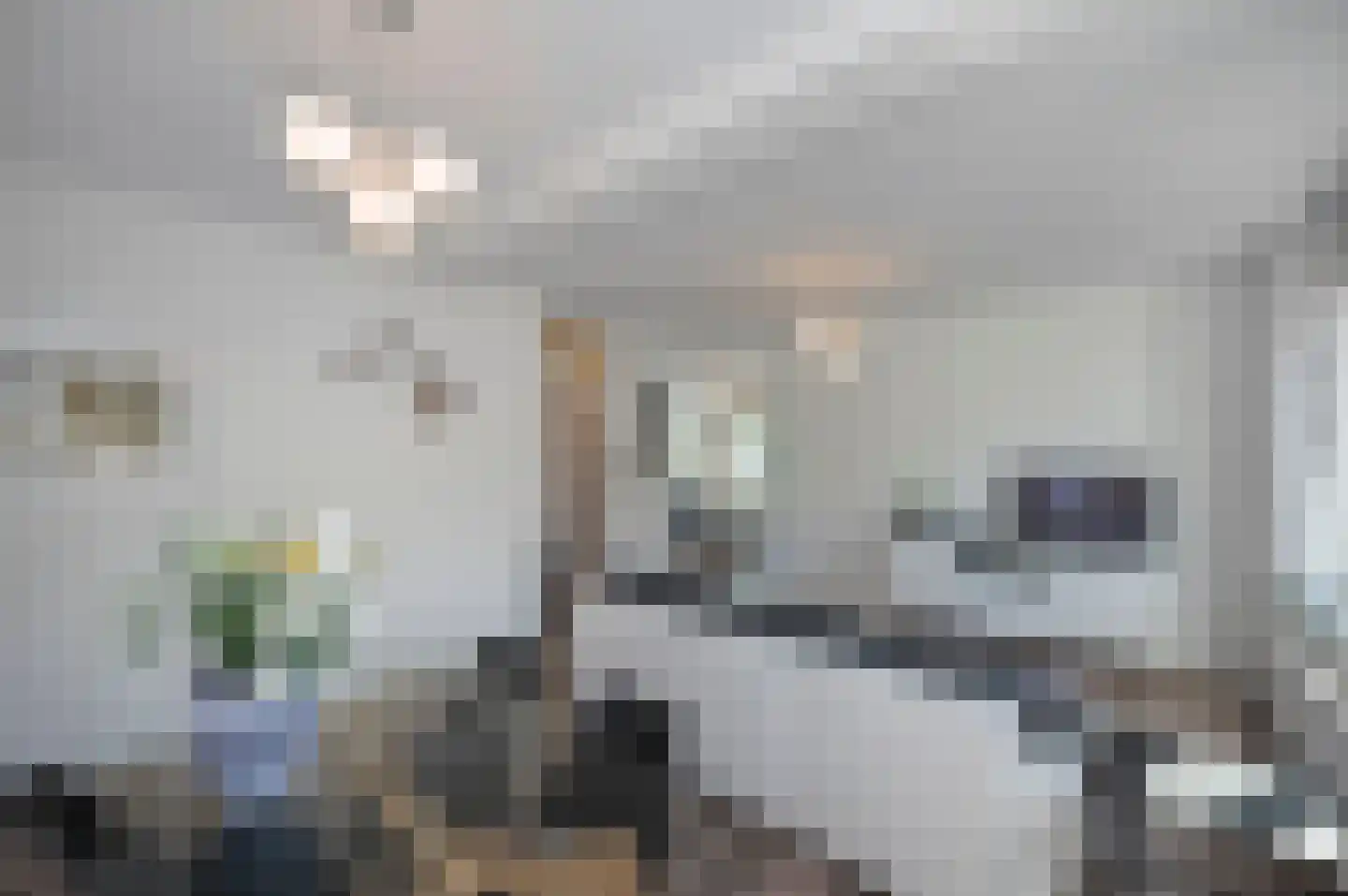 Jozef Israëlskade 88 1 Amsterdam thumbnail 7