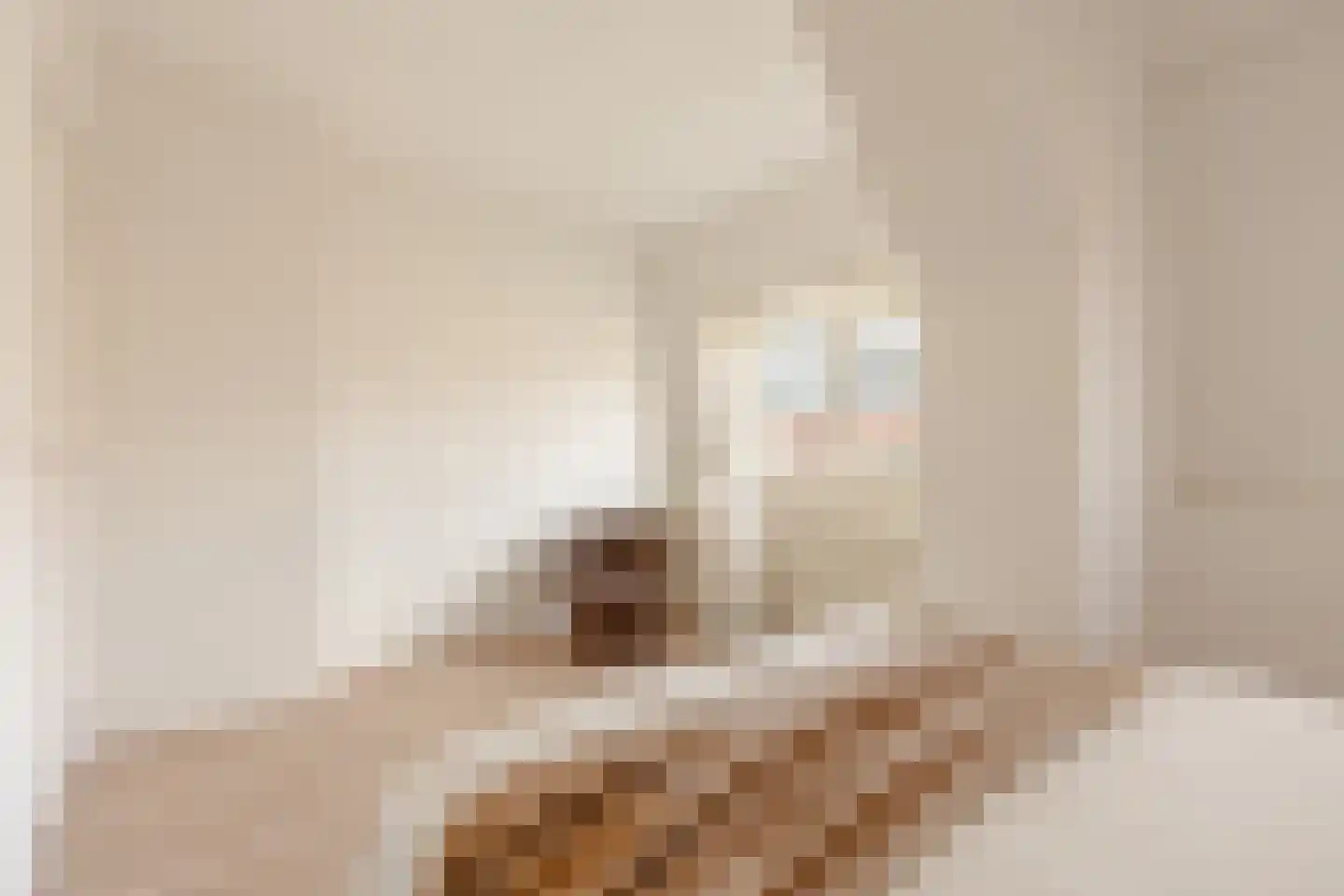 Jozef Israëlskade 89 4 Amsterdam thumbnail 23