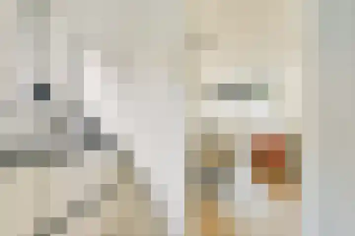 Jozef Israëlskade 93 1 Amsterdam thumbnail 10