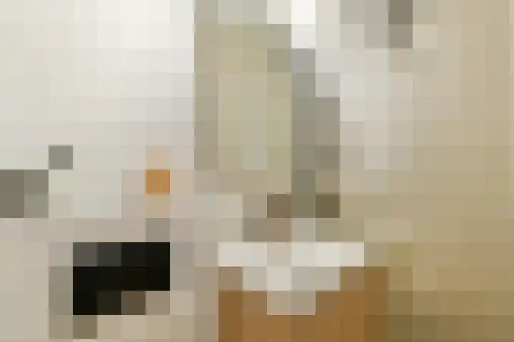 Jozef Israëlskade 93 1 Amsterdam thumbnail 17