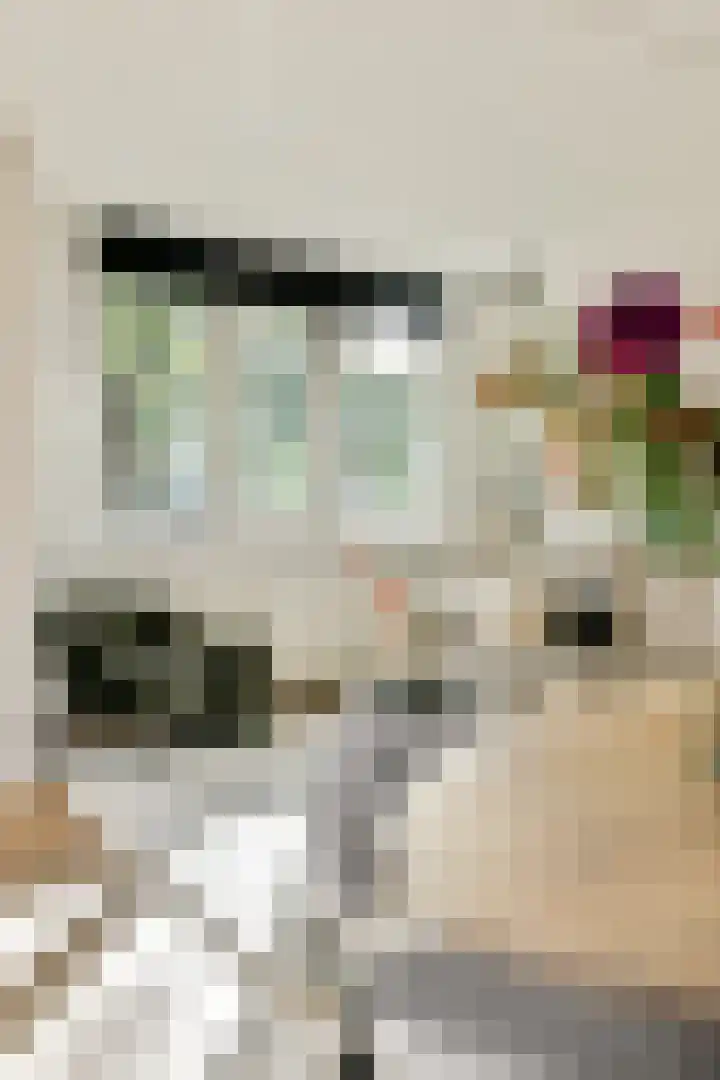 Jozef Israëlskade 93 1 Amsterdam thumbnail 6