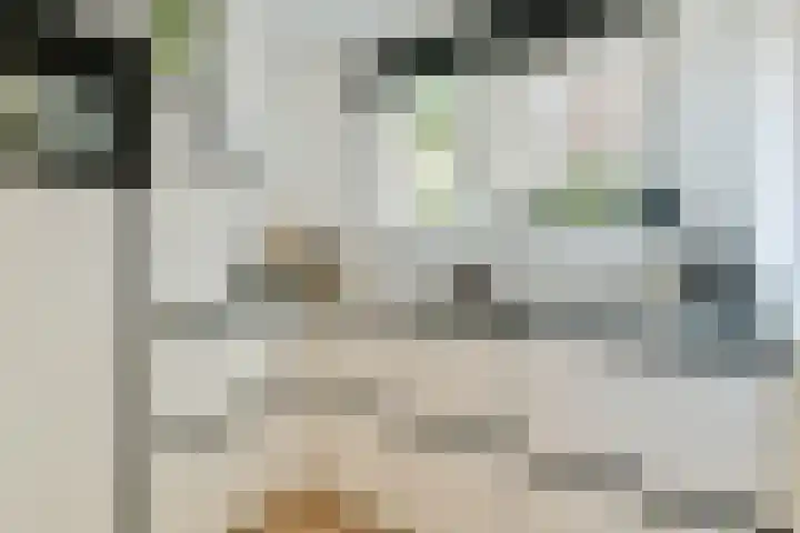 Jozef Israëlskade 93 1 Amsterdam thumbnail 9