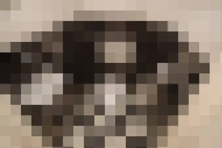Jozef Israëlslaan 1 Rijswijk thumbnail 15