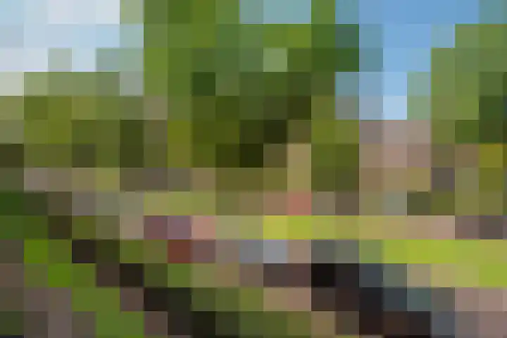 Jozef Israëlslaan 1 Rijswijk thumbnail 22