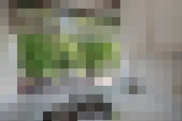 Jozef Israëlslaan 1 Rijswijk thumbnail 8