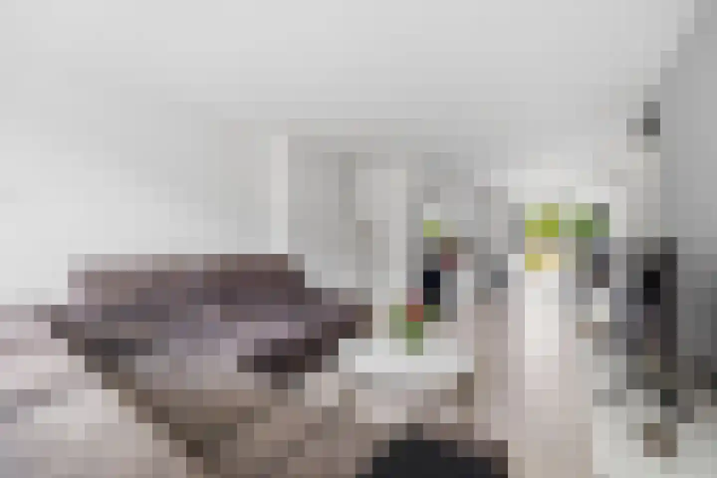 Jozef Israëlslaan 109 Rijswijk thumbnail 8
