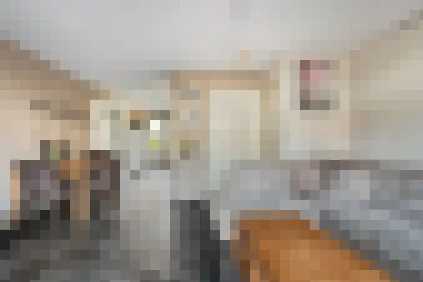 Jozef Israëlslaan 117 Almere thumbnail 6