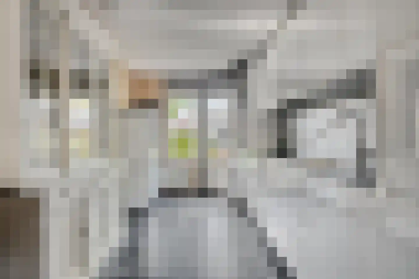 Jozef Israëlslaan 117 Almere thumbnail 8