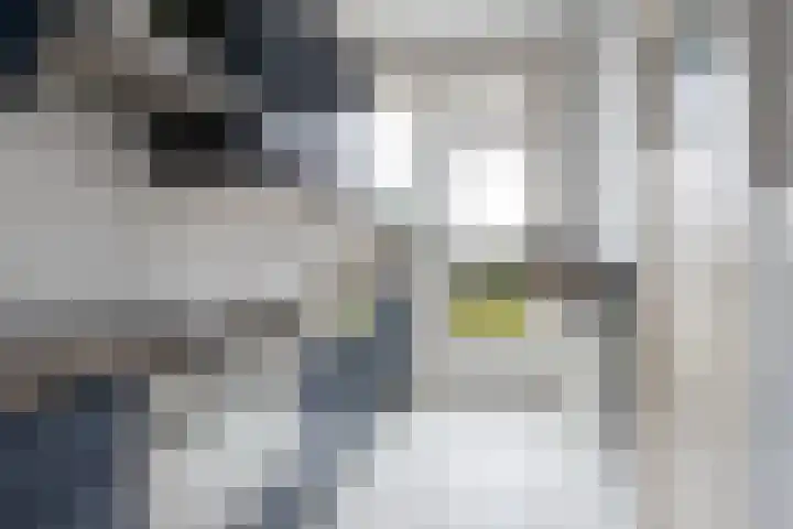 Jozef Israëlslaan 125 Rijswijk thumbnail 10