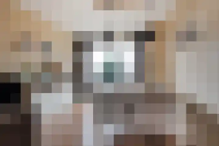 Jozef Israëlslaan 125 Rijswijk thumbnail 7