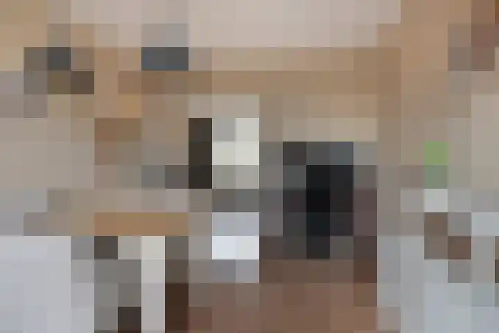Jozef Israëlslaan 125 Rijswijk thumbnail 9