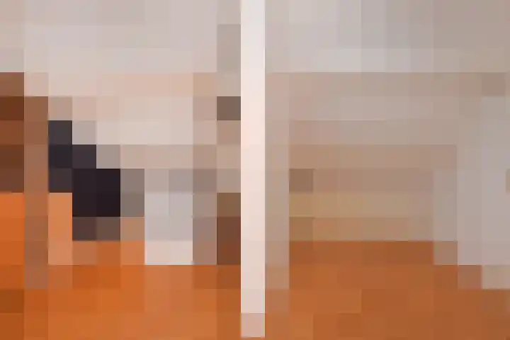 Jozef Israëlslaan 128 Rijswijk thumbnail 13