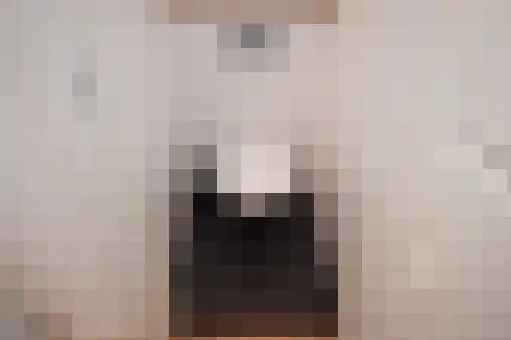 Jozef Israëlslaan 128 Rijswijk thumbnail 21