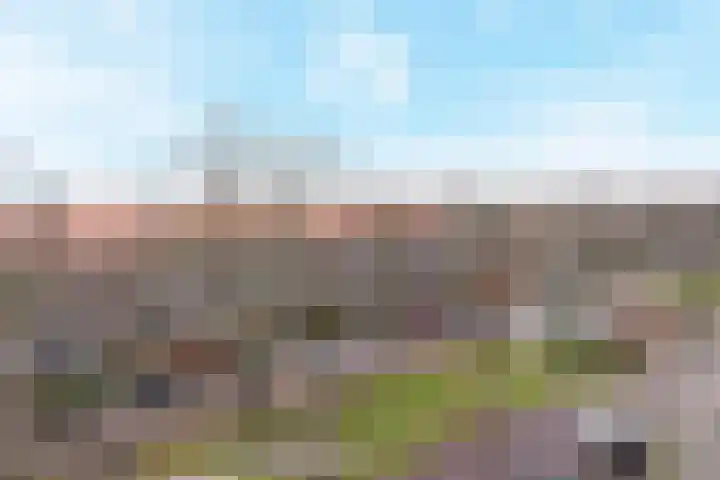 Jozef Israëlslaan 128 Rijswijk thumbnail 22