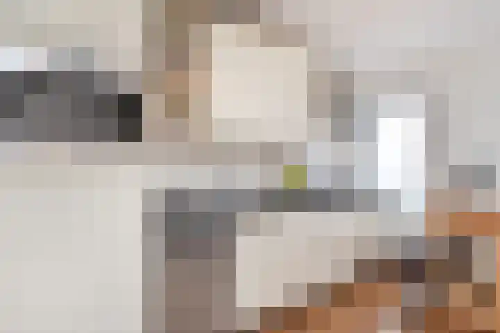 Jozef Israëlslaan 128 Rijswijk thumbnail 7