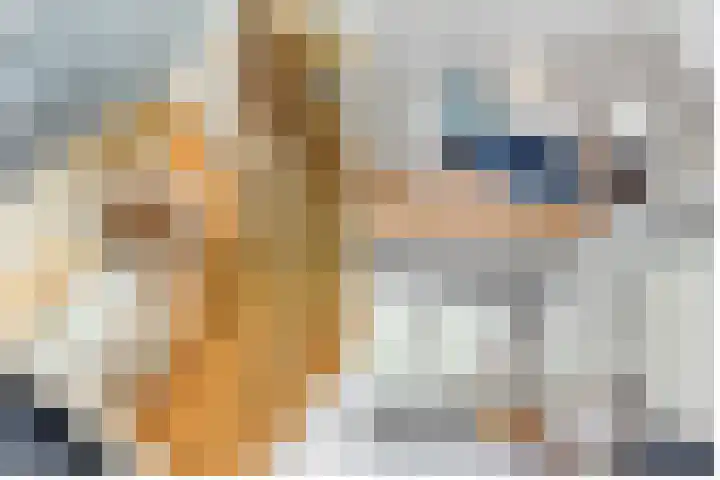 Jozef Israëlslaan 13 A Bosch en Duin thumbnail 12