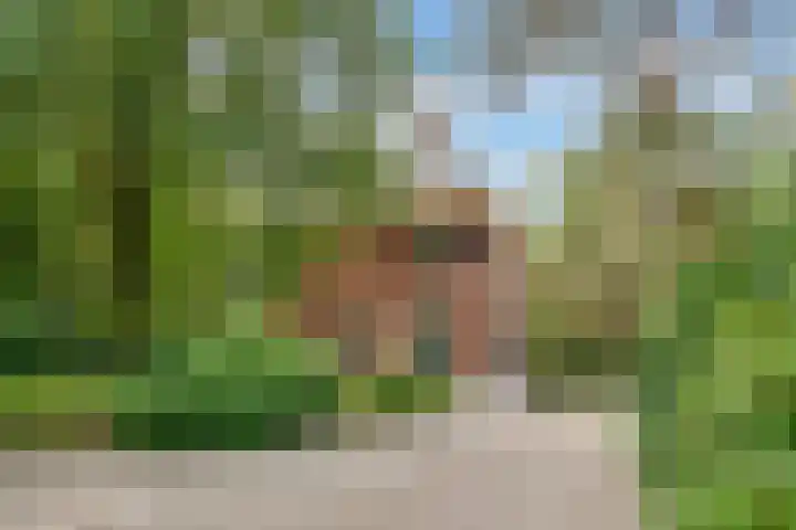 Jozef Israëlslaan 13 A Bosch en Duin thumbnail 17