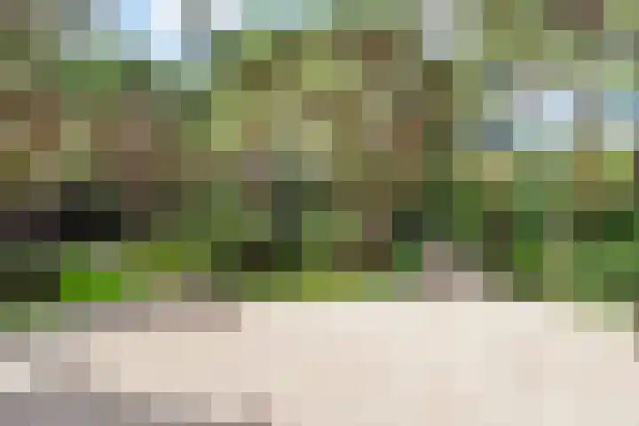Jozef Israëlslaan 13 A Bosch en Duin thumbnail 18