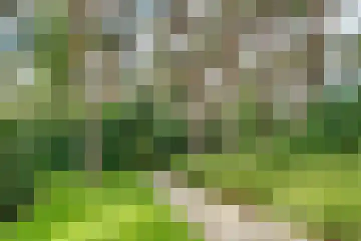 Jozef Israëlslaan 13 A Bosch en Duin thumbnail 19