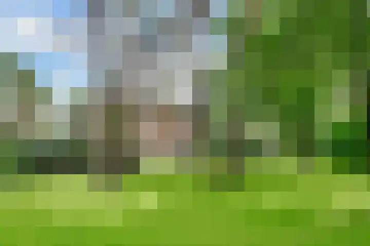 Jozef Israëlslaan 13 A Bosch en Duin thumbnail 20