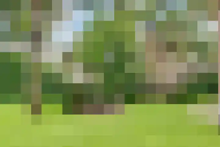 Jozef Israëlslaan 13 A Bosch en Duin thumbnail 21