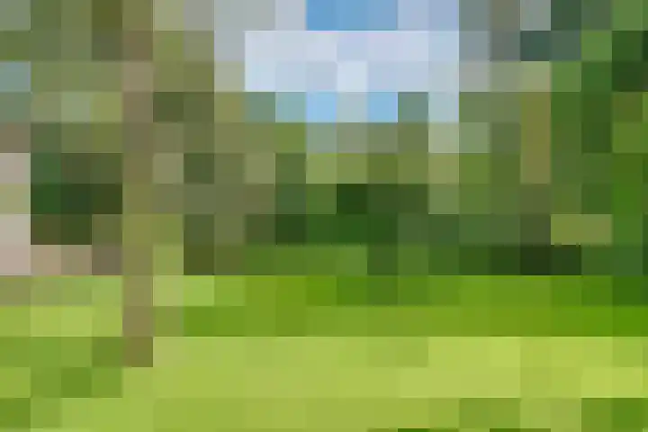 Jozef Israëlslaan 13 A Bosch en Duin thumbnail 22