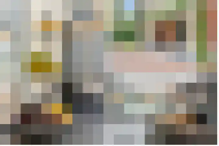 Jozef Israëlslaan 13 A Bosch en Duin thumbnail 6